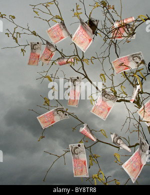 Es gibt ein altes Sprichwort im Vereinigten Königreich, das Geld nicht auf Bäumen wächst - hier scheint es, dass dies der Fall ist. Stockfoto