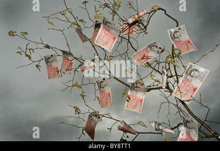 Es gibt ein altes Sprichwort im Vereinigten Königreich, das Geld nicht auf Bäumen wächst - hier scheint es, dass dies der Fall ist. Stockfoto