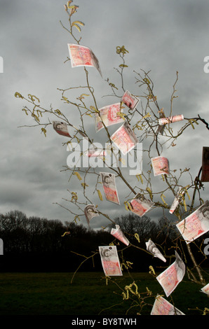 Es gibt ein altes Sprichwort im Vereinigten Königreich, das Geld nicht auf Bäumen wächst - hier scheint es, dass dies der Fall ist. Stockfoto