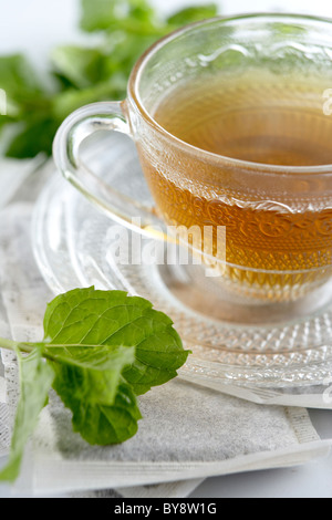 Pfefferminztee in Glastasse Tee auf Minze Tee Beutel umgeben mit Minze Stockfoto