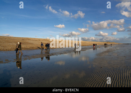 Vereinigtes Königreich West Sussex Littlehampton walking im Winter am Weststrand Stockfoto