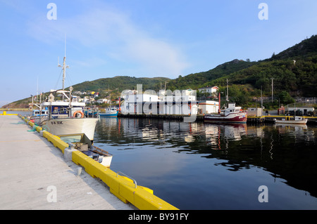 Kleinen Hafen Maddox Cove Neufundland Kanada Stockfoto