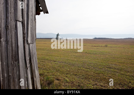 Holzvertäfelungen an einen Schuppen mit Blick auf die bayerischen Alpen, Deutschland Stockfoto