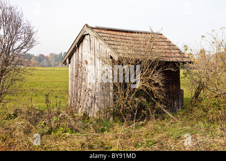 Holzvertäfelungen auf einen kleinen Schuppen Stockfoto