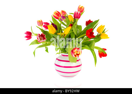 Blumenstrauß Bunte Tulpen in gestreiften Vase isoliert auf weiß Stockfoto