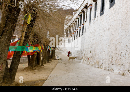Mauern des Kloster Drepung, Lhasa, Tibet. JMH4510 Stockfoto
