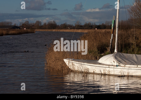 Segelboot vor Anker in der Norfolk Schilfbeetes, River Ant, Norfolk Stockfoto