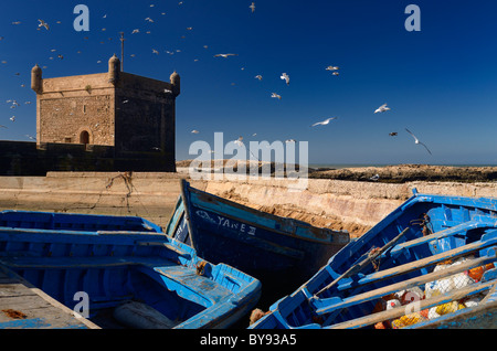 Herde von Möwen über blauen Fischerbooten und Sqala du Port unter blauem Himmel in Essaouira Marokko Stockfoto