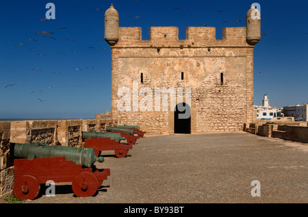 Alte Sqala du Port-Festung mit Kanonen und Möwen auf blauem Himmel in Essaouira Marokko Stockfoto