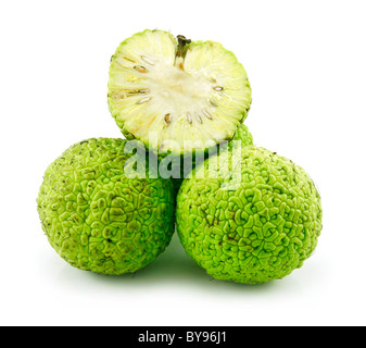 In Scheiben geschnitten Osage Orange (Maclura), Isolated on White Stockfoto