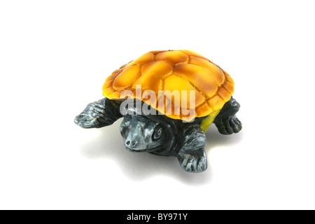 Schildkröte auf weißem Hintergrund Stockfoto