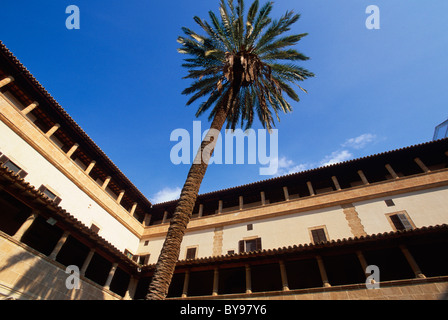 Gotische Kreuzgang im Kloster Francesc in Palma De Mallorca, Mallorca, Spanien Stockfoto