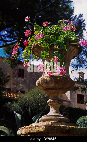 Garten der Finca Els Calderers in der Nähe von Sant Joan, Mallorca, Spanien Stockfoto