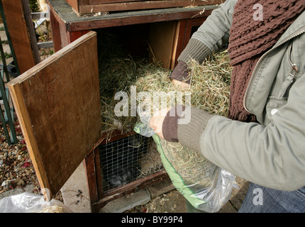 Frauen Reinigung Kaninchenstall Garten Stockfoto