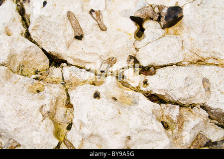 Kreide mit Feuersteine am Strand Stockfoto