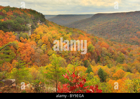 Blick vom Laurel Golf übersehen, Tür Steinlehrpfad, Savage Golfstaat Naturraum, Beersheba Springs, Tennessee, USA Stockfoto