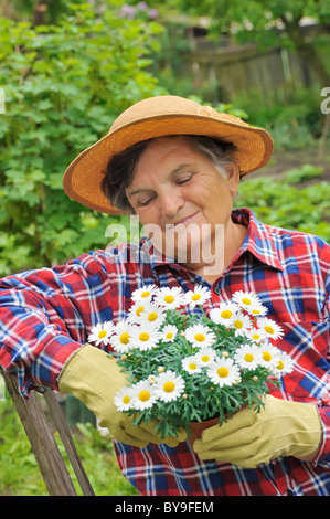 Ältere Frau Gartenarbeit - holding Daisy Stockfoto