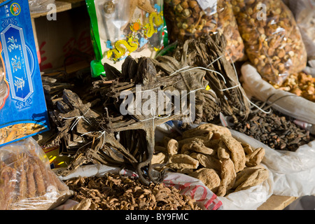 Getrocknet, Frösche und andere pflanzliche Arzneimittel Heilmittel für den Verkauf auf Marktstand in Barkhor Square Lhasa Tibet. JMH4627 Stockfoto