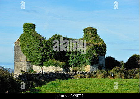 Kinvara, County Galway, Irland Stockfoto