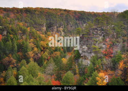 Cane Creek Canyon, Herbst Creek Falls State Park Resort, Pikeville, Tennessee, USA Stockfoto