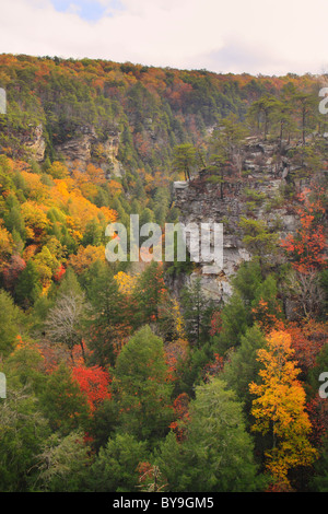 Cane Creek Canyon, Herbst Creek Falls State Park Resort, Pikeville, Tennessee, USA Stockfoto