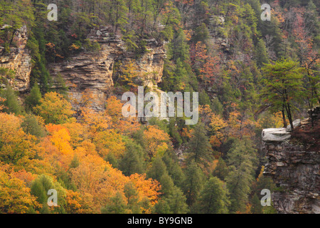 Cane Creek Canyon, Herbst Creek Falls State Park Resort, Pikeville, Tennessee, USA Stockfoto