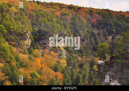 Cane Creek Canyon, Herbst Creek Falls State Park Resort, Pikeville, Tennessee, USA Stockfoto