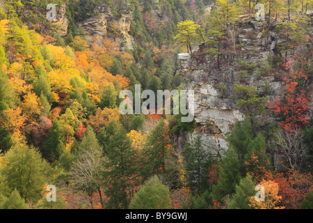 Cane Creek Canyon, Herbst Creek Falls State Park Resort, Pikeville, Tennessee, USA Stockfoto