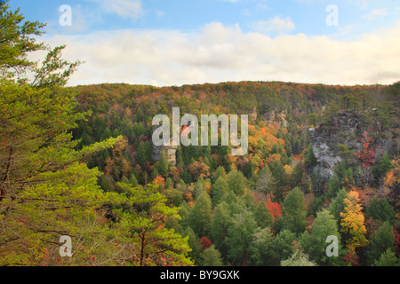 Cane Creek Canyon, Herbst Creek Falls State Park Resort, Pikeville, Tennessee, USA Stockfoto