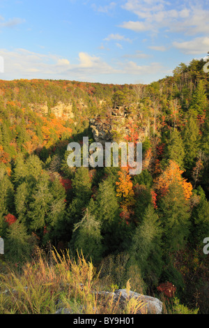 Cane Creek Canyon, Herbst Creek Falls State Park Resort, Pikeville, Tennessee, USA Stockfoto