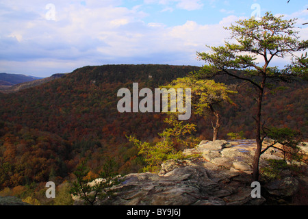 Bussarde Roost, Gorge Scenic Drive, Fall Creek Falls Resort Staatspark, Pikeville, Tennessee, USA Stockfoto