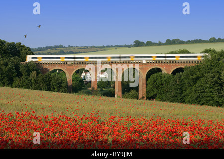 Trainieren Sie auf Viadukt mit Mohnfeld, Eynsford, Kent Stockfoto