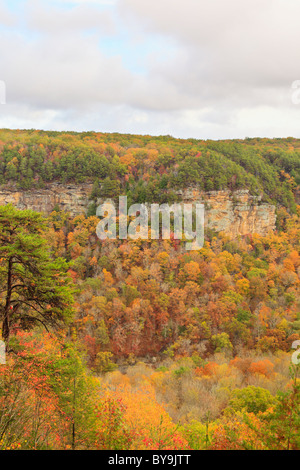 Gorge Scenic Drive, Herbst Creek Falls State Park Resort, Pikeville, Tennessee, USA Stockfoto