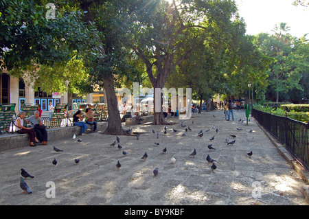 Alltag in Alt-Havanna-Quadrat Stockfoto