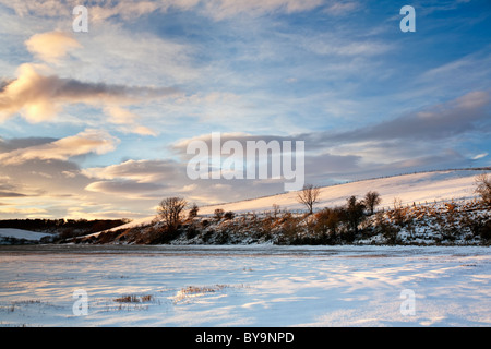 Winter in Angus. Außerordentlich schweren Schnee und kalten Tempratures im Dezember 2010. Stockfoto