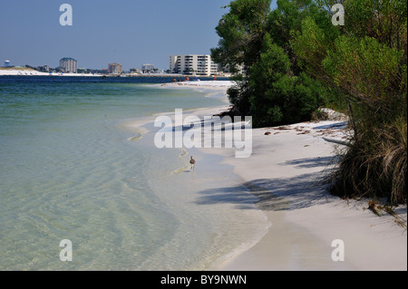 Blick auf Destin Hafen und Eigentumswohnungen von East Pass Beach in Florida Pfannenstiel. Stockfoto