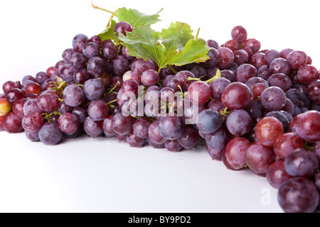 Zweig der Trauben auf einem weißen Hintergrund (Tiefenschärfe) Stockfoto