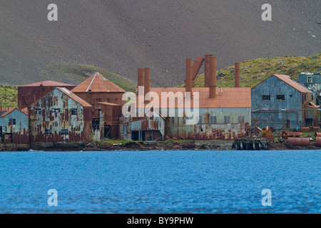 Reste von Leith Walfangstation, Süd-Georgien Stockfoto