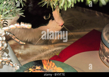 Christmaas Geschenke unter dem Weihnachtsbaum Stockfoto