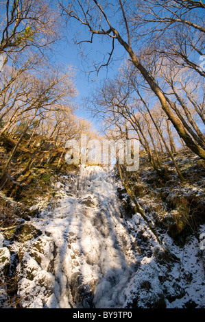 Pulhowan brennen Holz der Cree-Naturschutzgebiet Stockfoto