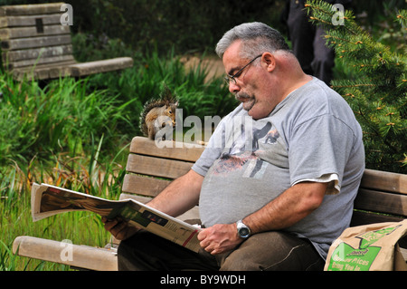 Mann liest Zeitung im Golden Gate Park mit Blick auf Eichhörnchen Stockfoto
