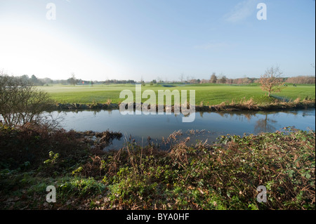 Fluß Wey und Wisley Golf Course, Surrey, England Stockfoto