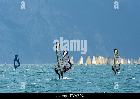 Windsurfer am Gardasee in der Nähe von Torbole, Provinz Trient, Trentino, Italien, Europa Stockfoto