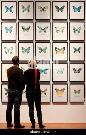 Zwei junge Menschen betrachten Schmetterling Zeichnungen Stockfoto