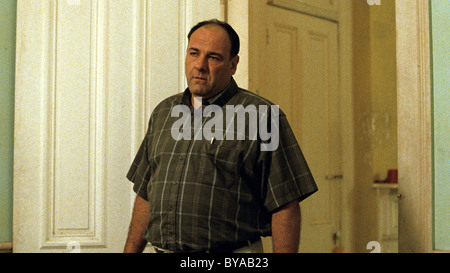 Willkommen bei den Rileys-Jahr: 2010 USA / UK Direktor: Jake Scott James Gandolfini Stockfoto