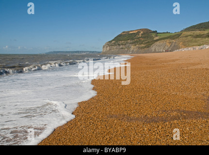 Beeindruckende Sweep von Pebble Beach am einladendsten, Dorset, mit hohen Klippen der Golden Cap in der Ferne Stockfoto