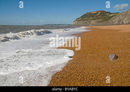 Beeindruckende Sweep von Pebble Beach am einladendsten, Dorset, mit hohen Klippen der Golden Cap in der Ferne Stockfoto