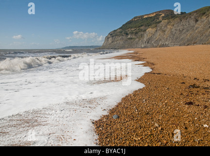 Beeindruckende Sweep von Pebble Beach am einladendsten, Dorset, mit hohen Klippen der Golden Cap in der Ferne Stockfoto