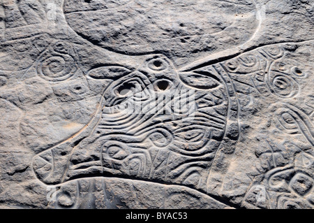 Urgestein Gravur der berühmten lockiges Kuh neolithischen Felszeichnungen von Tinterhert, Dider Tal Stockfoto