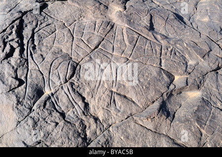 Urgestein Gravur einer Gazelle, neolithischen Felsmalereien des Tassili n ' Ajjer National Park, Tinterhert, Dider Tal Stockfoto